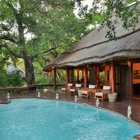 Imbali Safari Lodge Mluwati Concession Ngoại thất bức ảnh