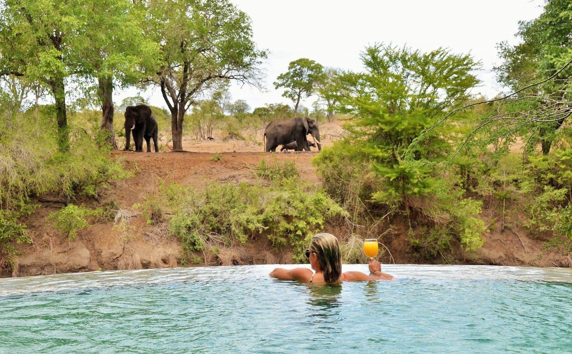 Imbali Safari Lodge Mluwati Concession Ngoại thất bức ảnh