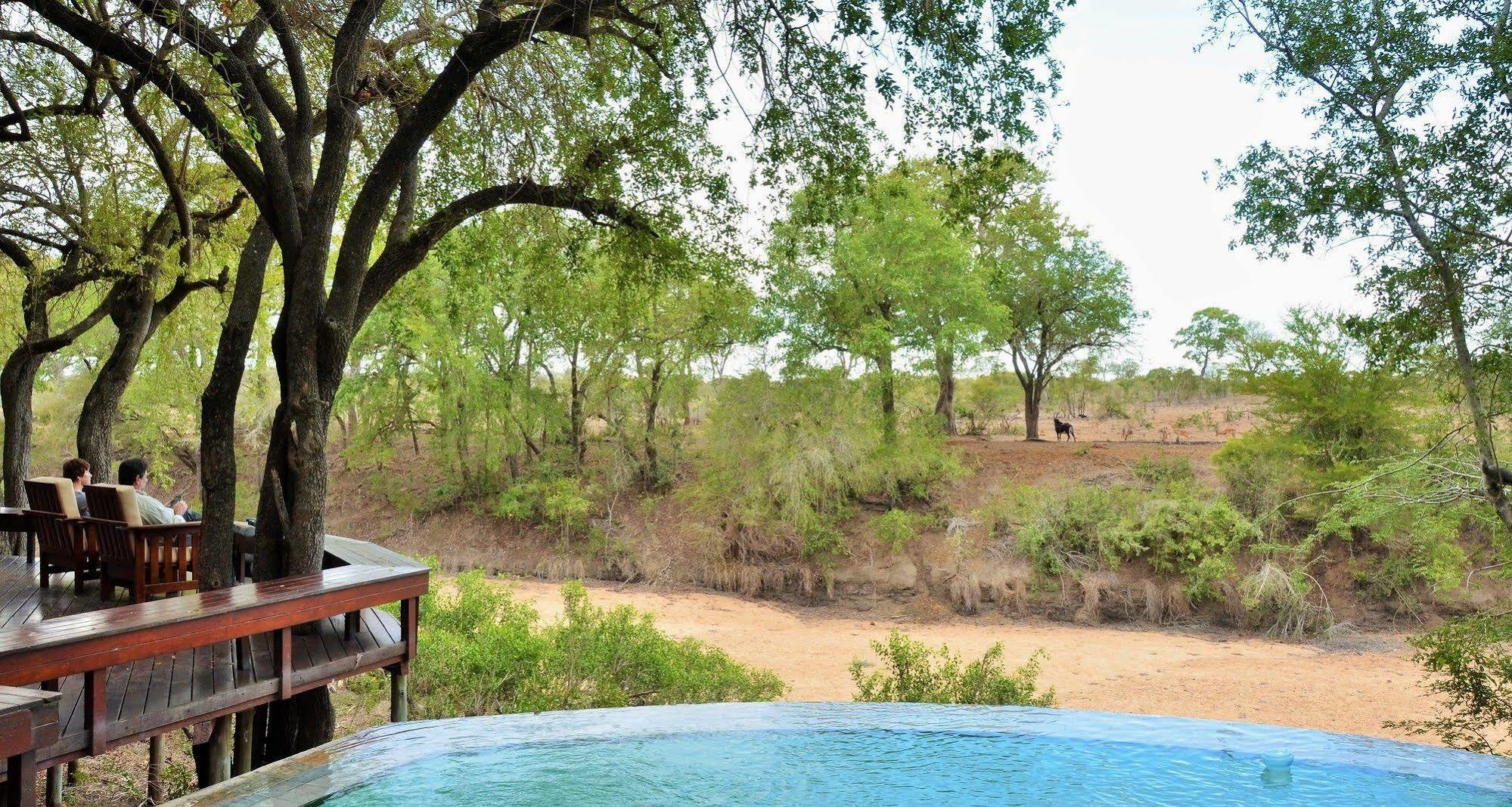 Imbali Safari Lodge Mluwati Concession Ngoại thất bức ảnh
