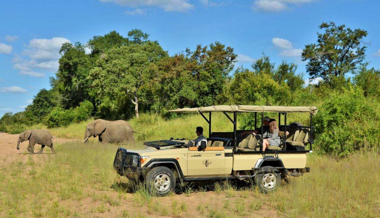Imbali Safari Lodge Mluwati Concession Ngoại thất bức ảnh